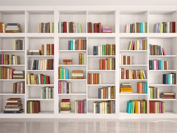 Bookshelf Assembly in Ponte Vedra Beach