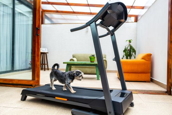 Treadmill Installation